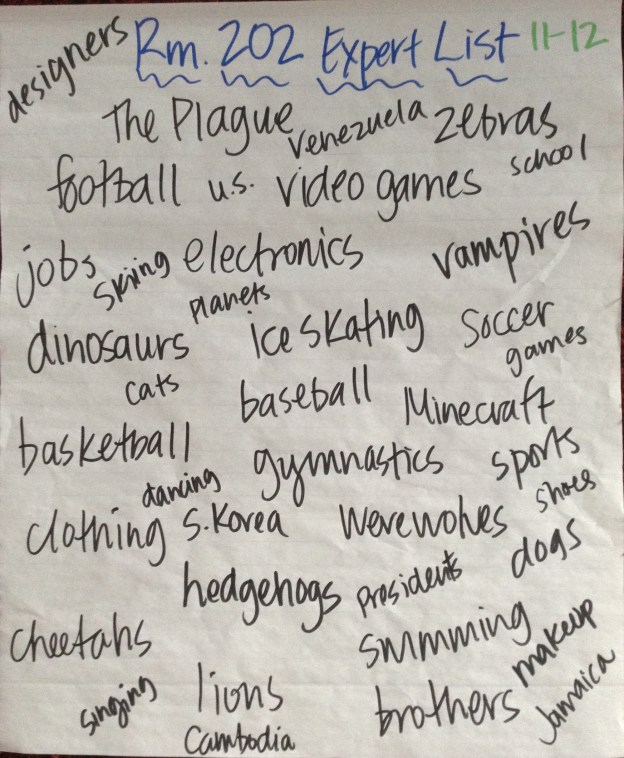 This was the first of two informational text units we're doing, and we focused on just things we knew alot about--that we were "experts" on. Here is our Rm. 202 Expert List, compiled from everyone's individual lists.