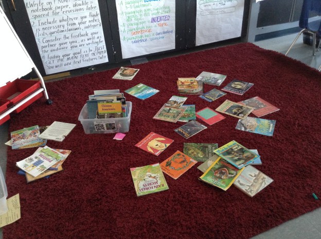 I put many options of science books (animals, weather, force and motion, etc.) out on the rug and we dug in!